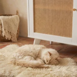 Buffet 3 tiroirs et 2 portes avec cannage Dalgora L120cm Blanc