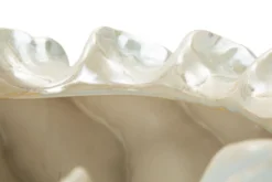 Cache-pot Coquillage Finition Perles Brillante