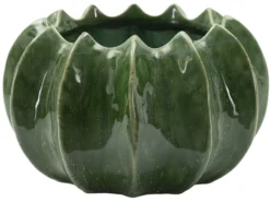 Cache-pot à effet cactus vert