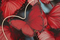 Impression sur toile Papillons rouges 3D avec LED