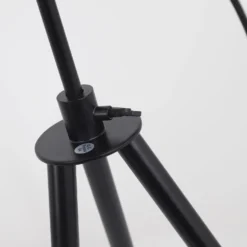 Lampe de table Loxias Noir et Or
