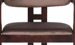 Lot de 2 chaises design Oregon Bois foncé et Velours Marron