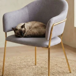 Lot de 2 chaises/fauteuils Ulrick Tissu Gris