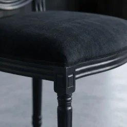 Lot de 20 chaises médaillon Louis XVI Black Velours Noir