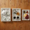 Lot de 3 plateaux style oriental avec moulures Kalmiac Blanc