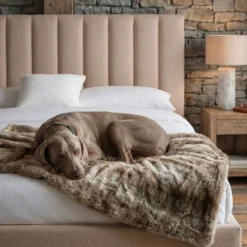 Pack Lit-coffre Songe + Matelas Bedream 180x200cm Tissu Beige
