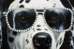 Tableau mural Chien Dalmatien encadré Bois massif et Métal argenté