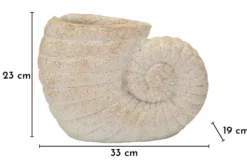 Vase en forme de coquillage sablé