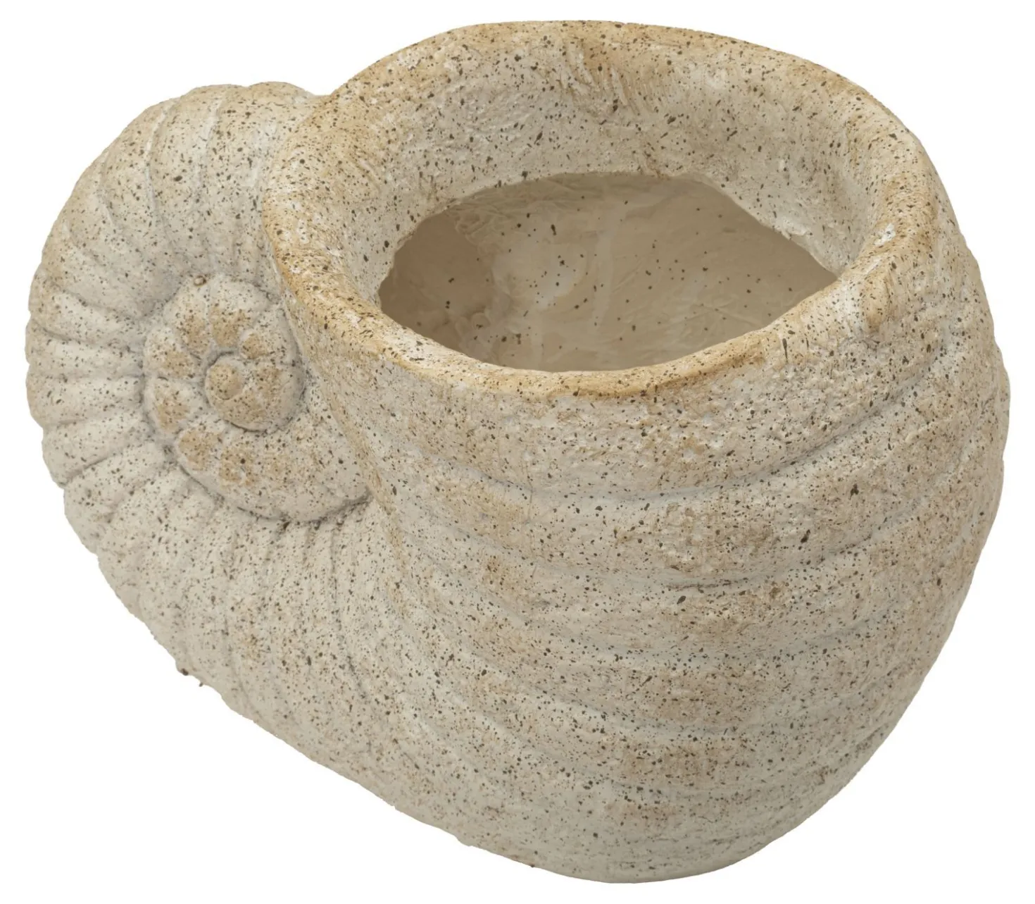 Vase en forme de coquillage sablé
