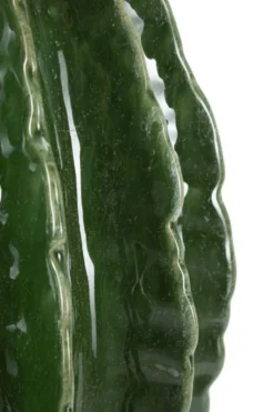 Vase rond Cactus finition brillante